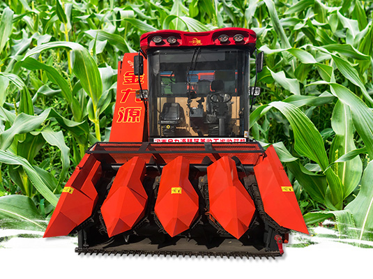 �P(gu��n)���҂�