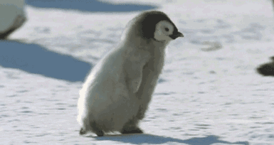 河南任性直降13℃！速凍模式已開啟！